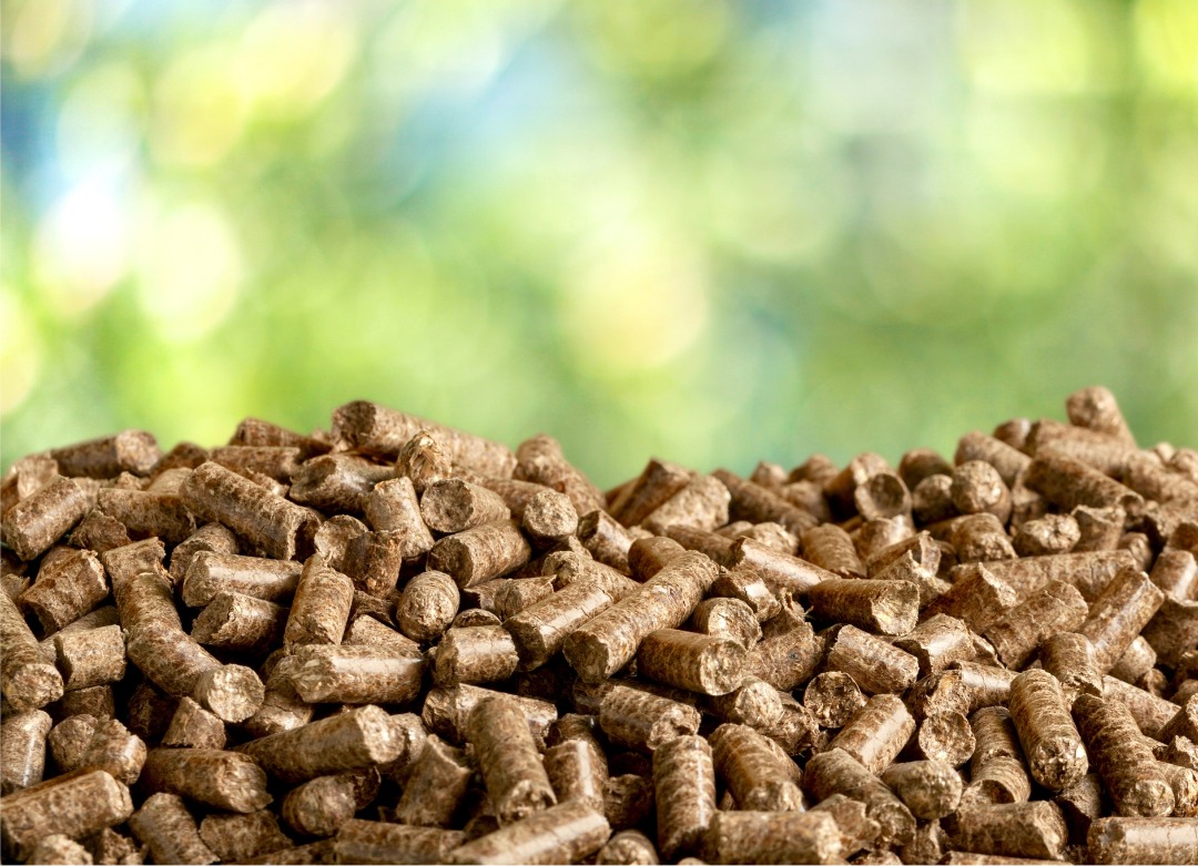 Feedstock & Supplies for Clean Energy